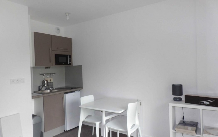 Annonces LATTES : Appartement | TROYES (10000) | 21 m2 | 380 € 